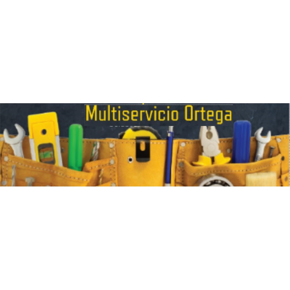 Multiservicios Ortega Jaén
