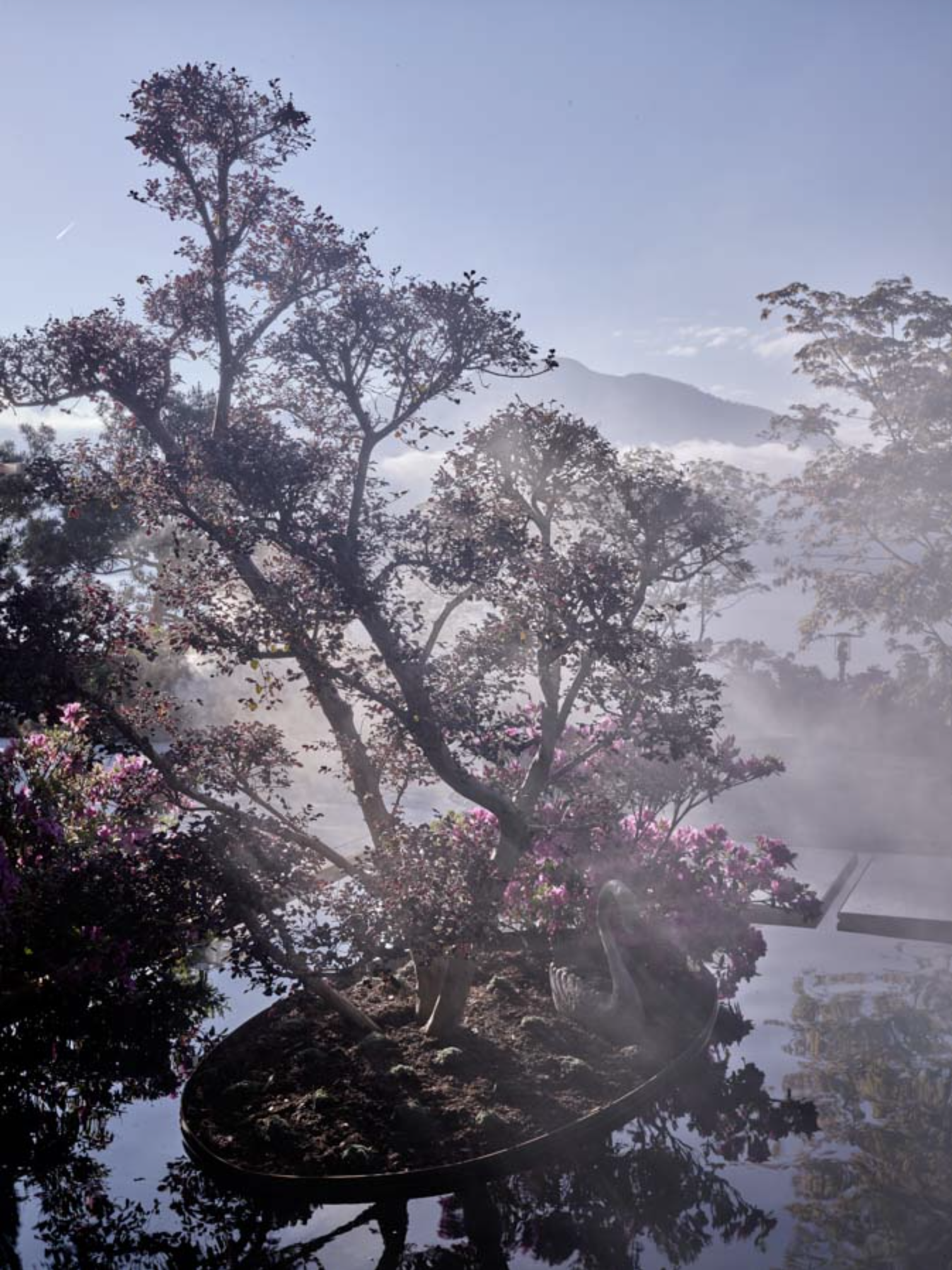 Select Garten GmbH, Im Chapf 11 in Erlenbach ZH