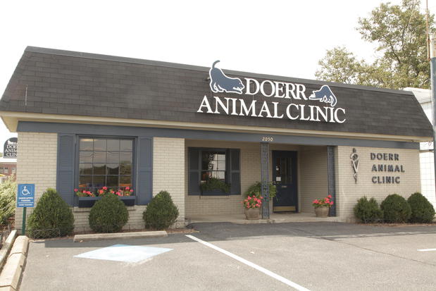 Images Doerr Animal Clinic