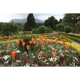 The Farmer's Daughter Garden Center and produce Market
