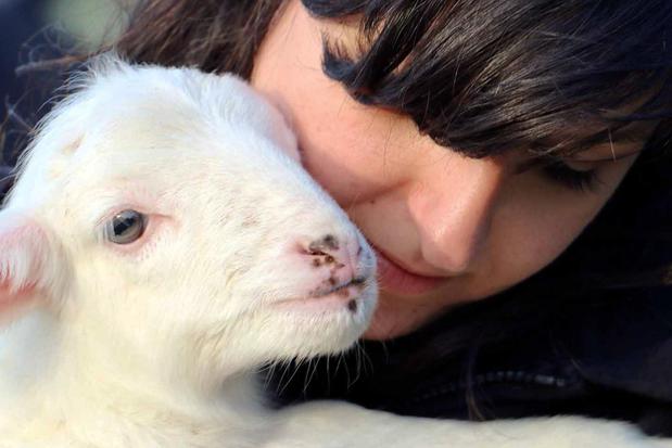 Images Animal Equality