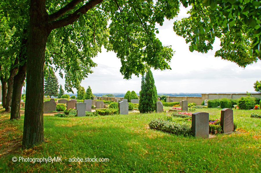 Bilder Friedhofsgärtnerei Adolf Becker e.K.Pächter Arne Becker