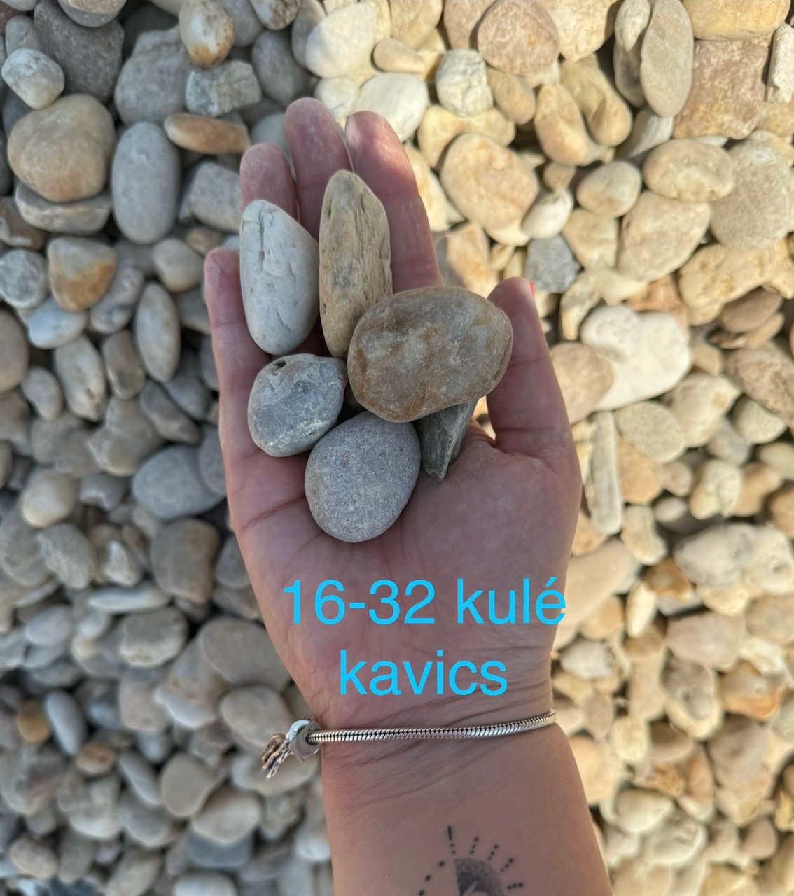 Images Koller és Varga Kft.