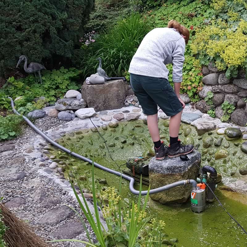 Bilder BRÜHWILER-GARTENBAU, BAUMPFLEGE