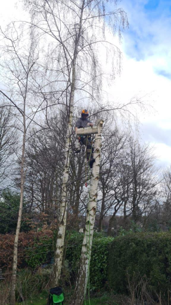 Moorland Treescapes Stoke-On-Trent 01782 504377