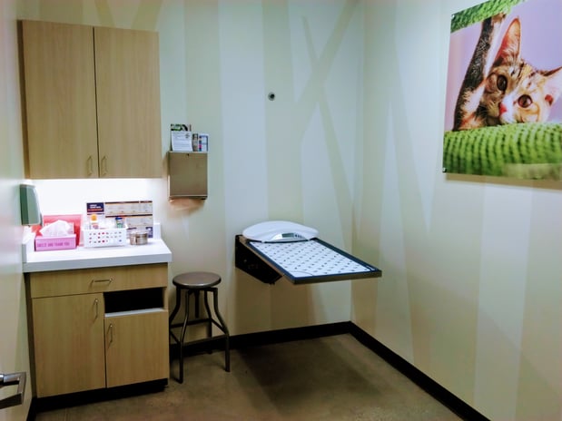 Images Vetco Total Care Animal Hospital