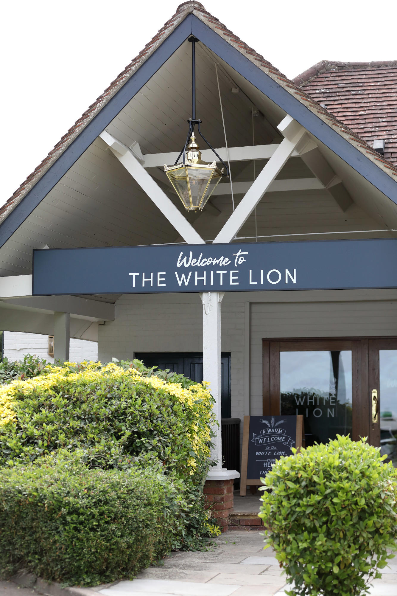 Images The White Lion