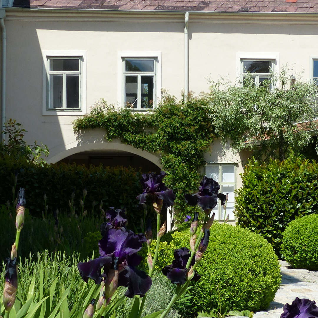 Bild 3 von Dr. Langeder Immobilien