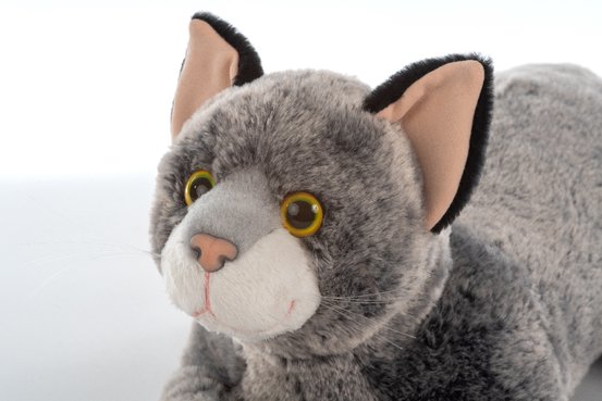 Altera Vita GmbH & Co. KG, In der Unteren Rombach 12 in Heidelberg