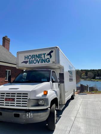 Images Hornet Moving