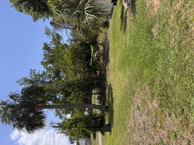 Images Trent's Tree Service The Neighborhood Arborist LLC