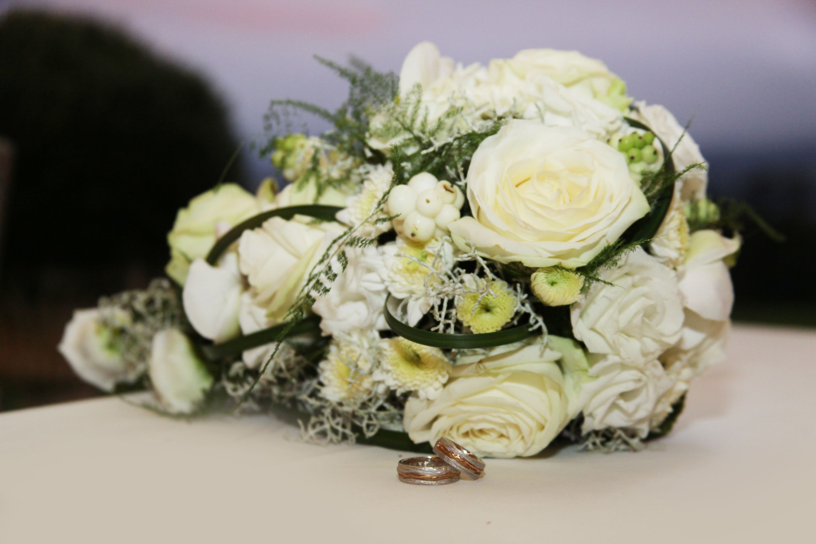 Blumen Ley, Spitalstrasse 53 in Luzern