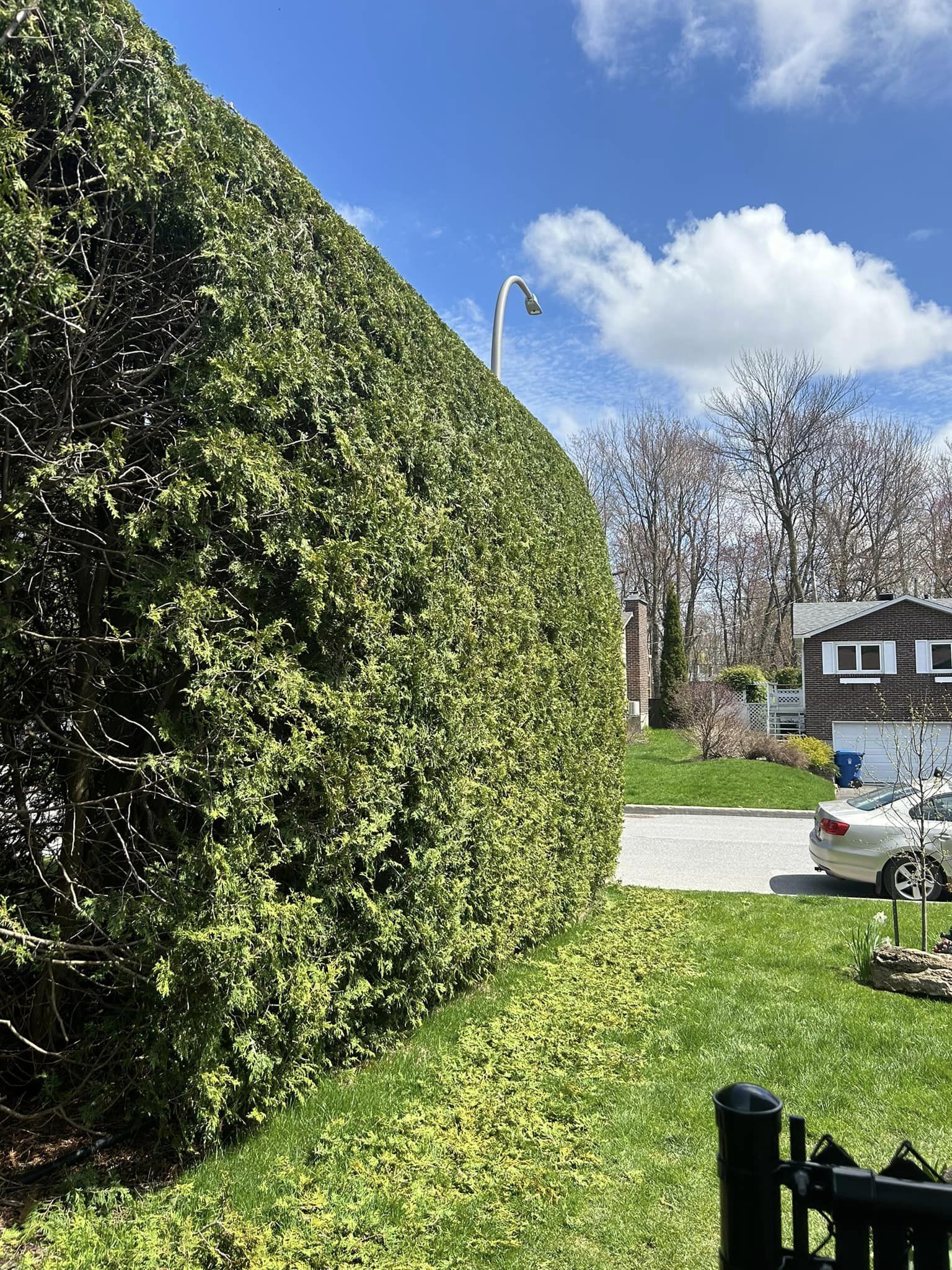 Images Taille de haie EB - Entretien de haie Saint-Hyacinthe