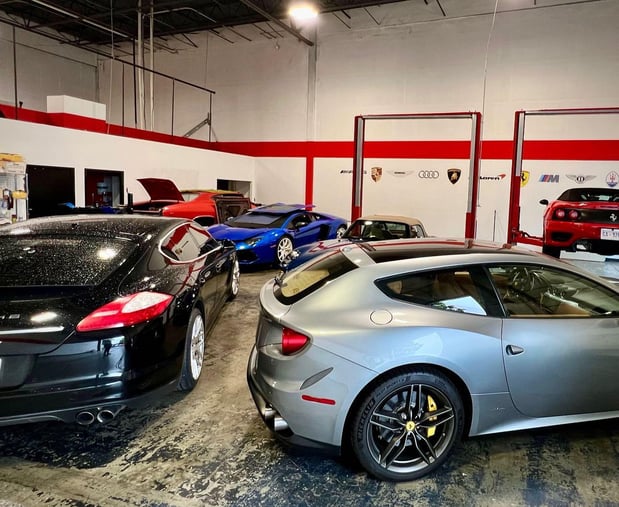 Images Loudoun County Exotics