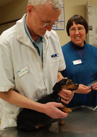 Images VCA Old Trail Animal Hospital
