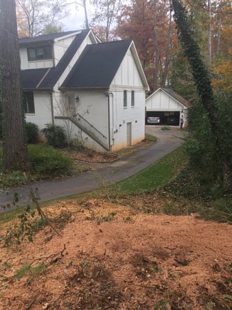 Images Tree Stump Masters