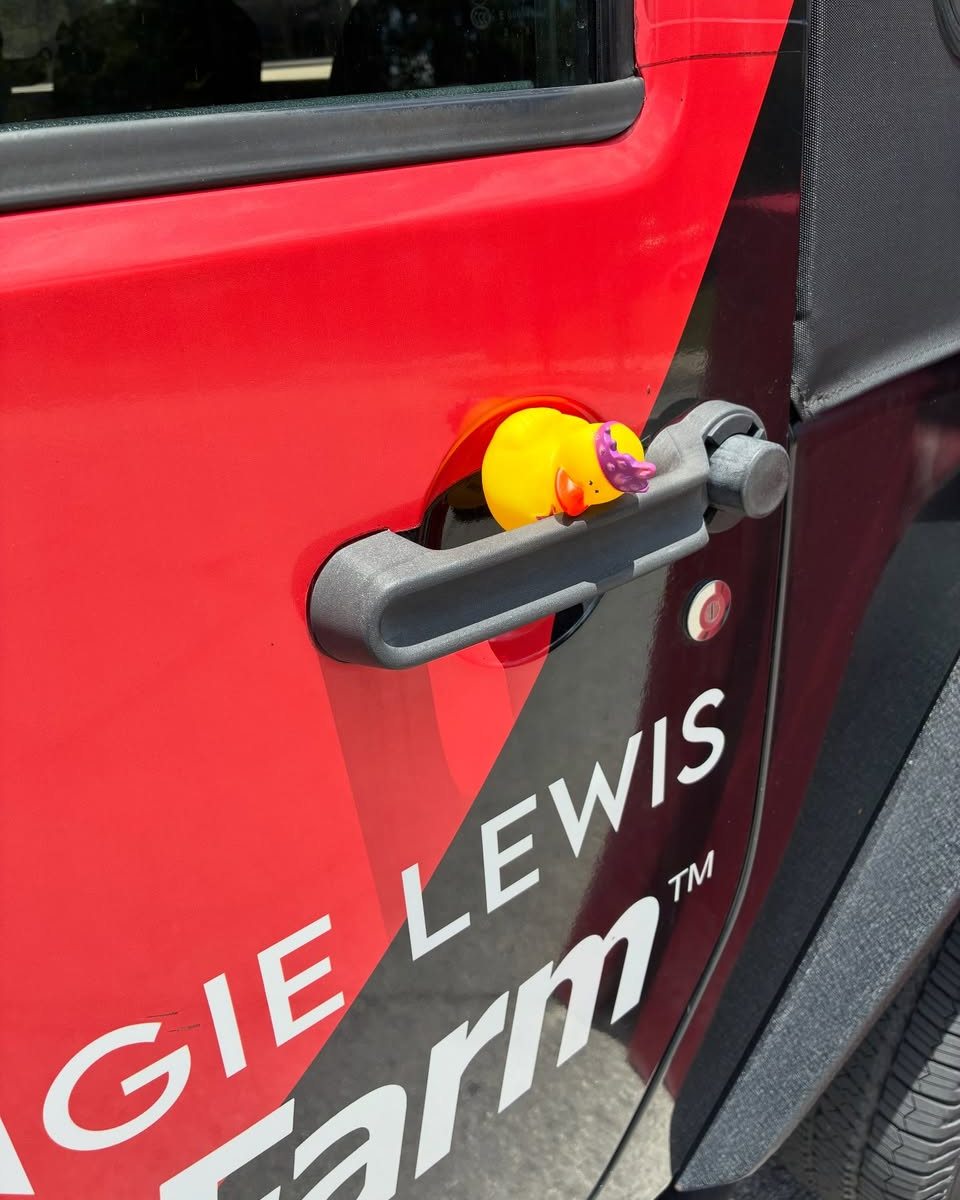 We added a duck to the time capsule this weekend at Heart of the Park 250 celebration and the ALSF Jeep got ducked not once but twice! and turtled? That’s a first for us. If you see the Jeep, leave a duck!