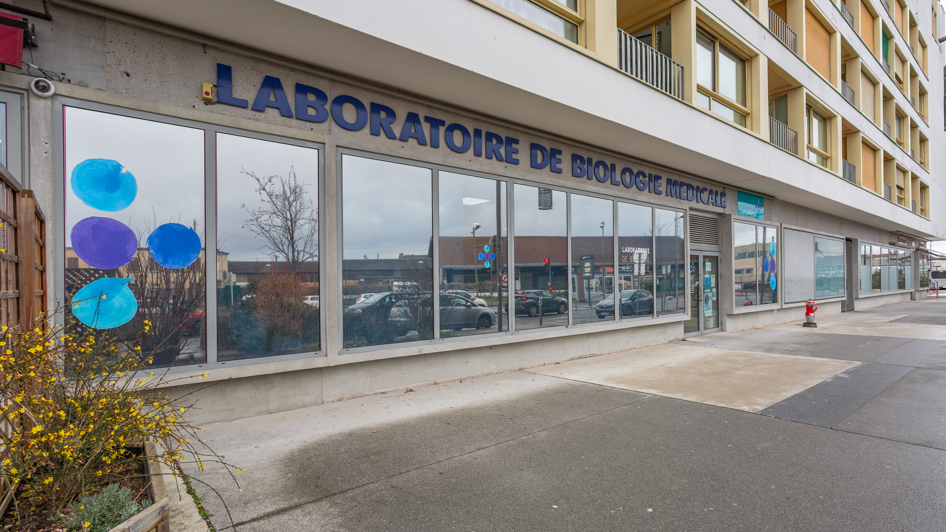 Miniature de la galerie