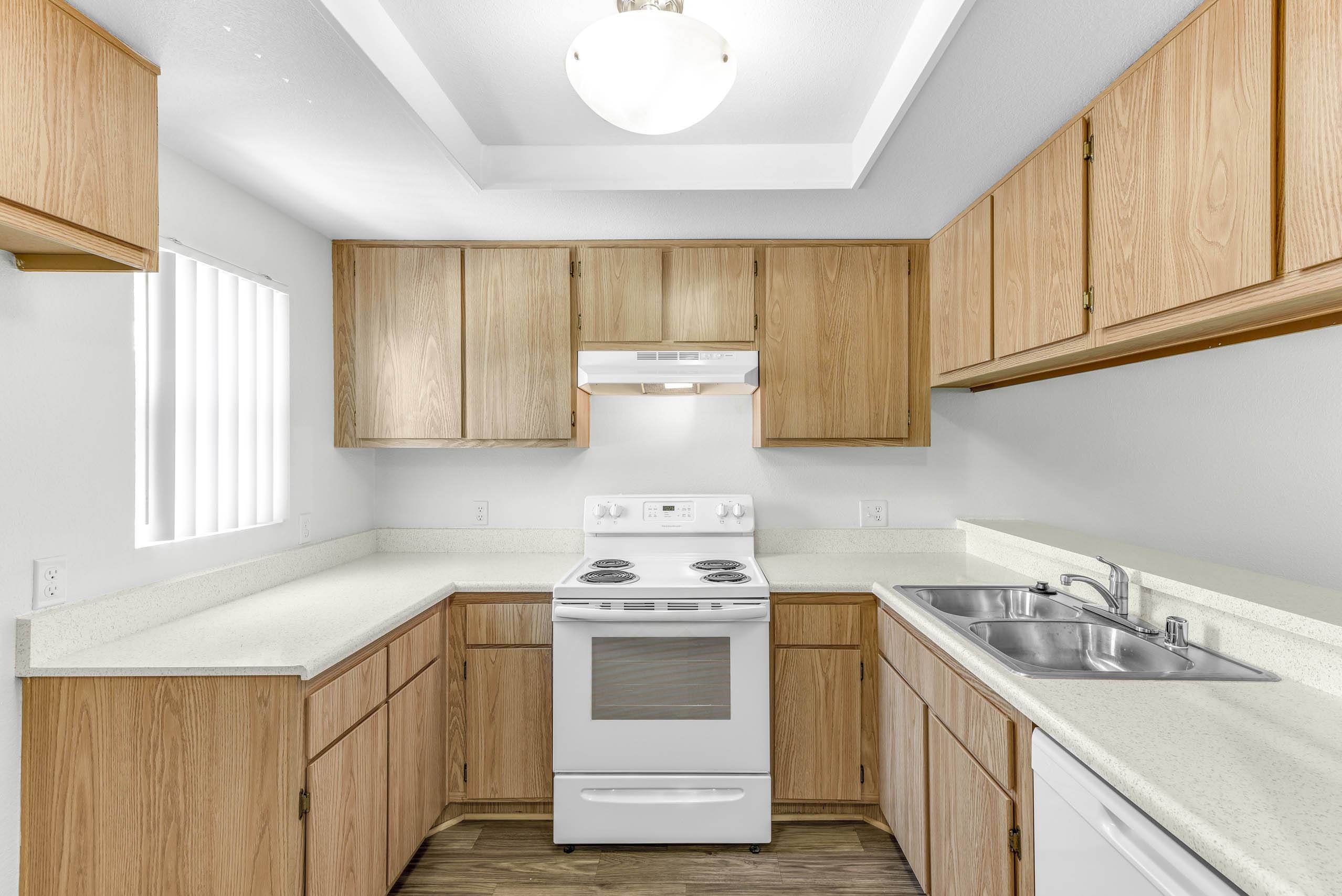 Modern Kitchen