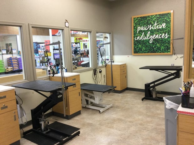 Images Petco Grooming
