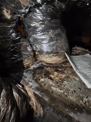 Images Air Zone Plus LLC