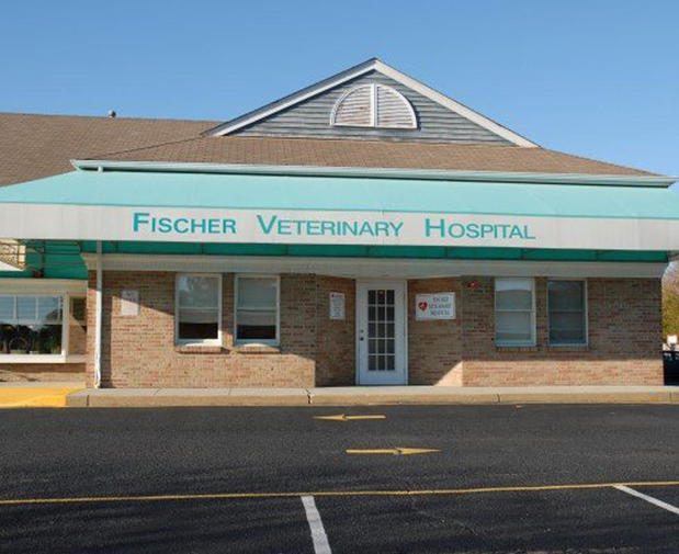 Images VCA Fischer Animal Hospital
