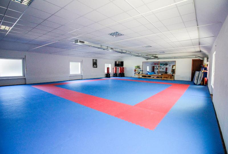 Images Palestra I.E.F.E.S.O. Club