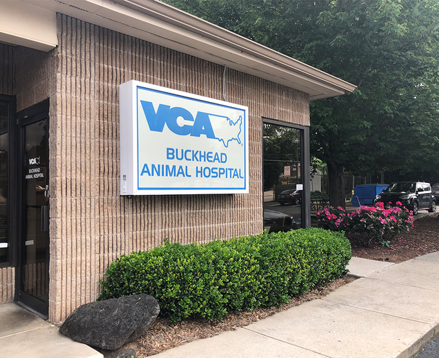 Images VCA Buckhead Animal Hospital