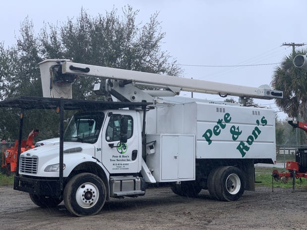 Images Pete and Rons Tree Service