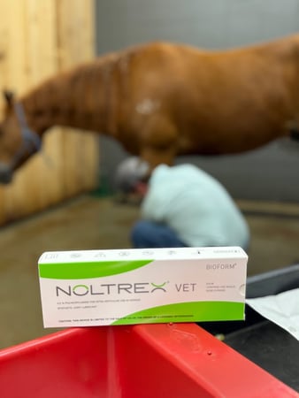 Images Purvis Animal Clinic & Equine Hospital