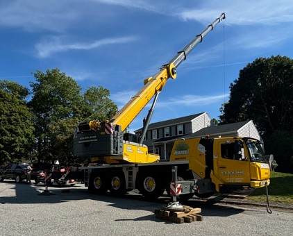 Tree Removal Service in Woburn, MA