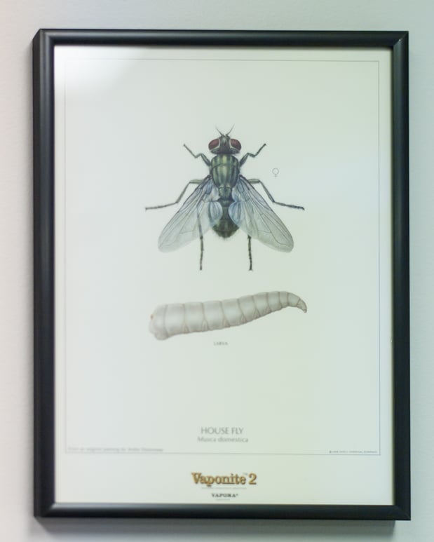 Images Massey Services Pest Control