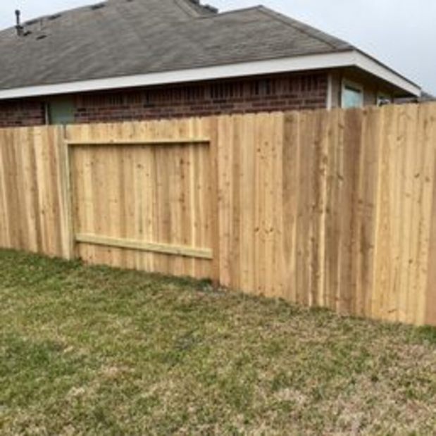 Images Bella Luxe Landscape and Design