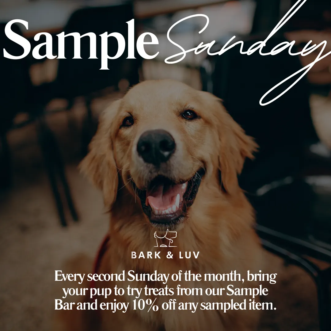 Image of Local Pet Event Sample Sunday Nearby