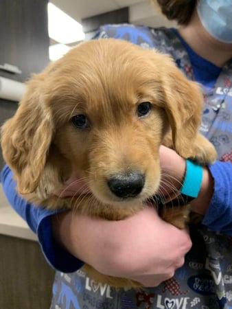 Images Kirtland Veterinary Hospital