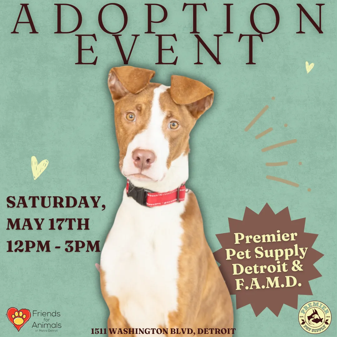 Image of Local Pet Event FRIENDS FOR ANIMALS OF MET DETROIT ADOPTION EVENT |DETROIT Nearby