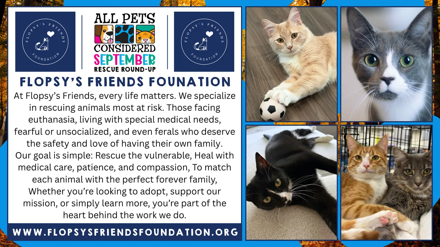Image of Local Pet Event APC September 2026 Rescue Round-Up Nearby