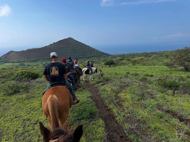 Images Triple L Ranch Maui Horseback Tours