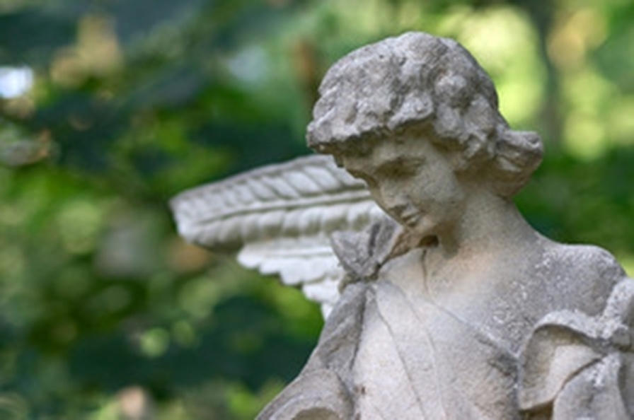 Bestattungshaus Pfender, Berkenbrücker Chaussee 6A in Luckenwalde