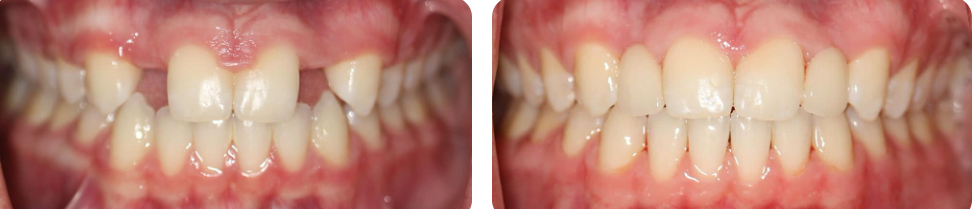 Palmetto Smiles of Beaufort Image