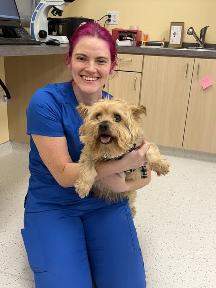 CityVet | Providence team member and dog patient