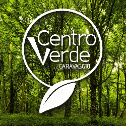 Centro Verde Logo