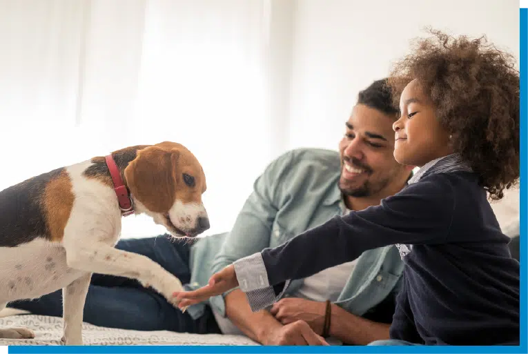Your pets deserve a home that’s just as protected as the rest of your family. Farmers Pest Control provides safe, effective residential pest control solutions that target ants, termites, spiders, rodents, mosquitoes, cockroaches, and more while helping keep your home comfortable for both children and pets.