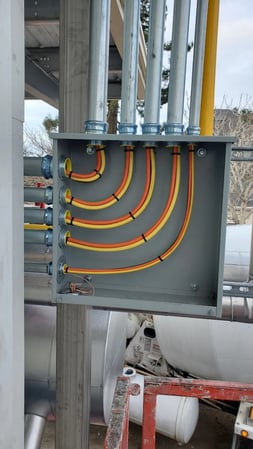 Images Go 2 Electric