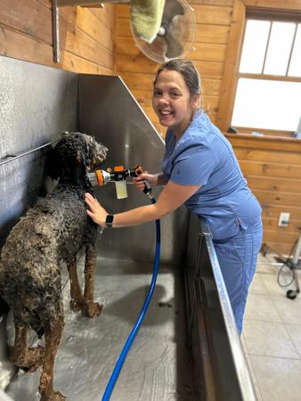 Images K-9 Meadows Boarding and Spa