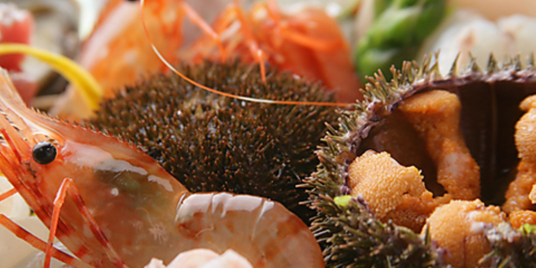 Images 十方夷第　本店