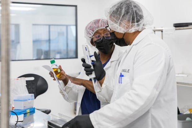 Images Eagle Analytical Services