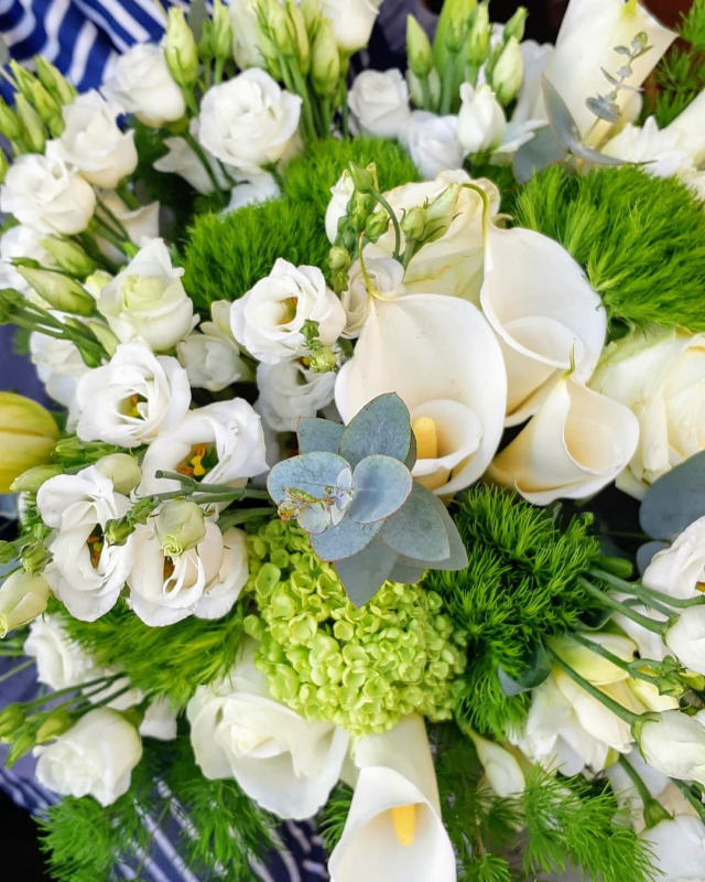 Images Fioreria del Viale Santamaria