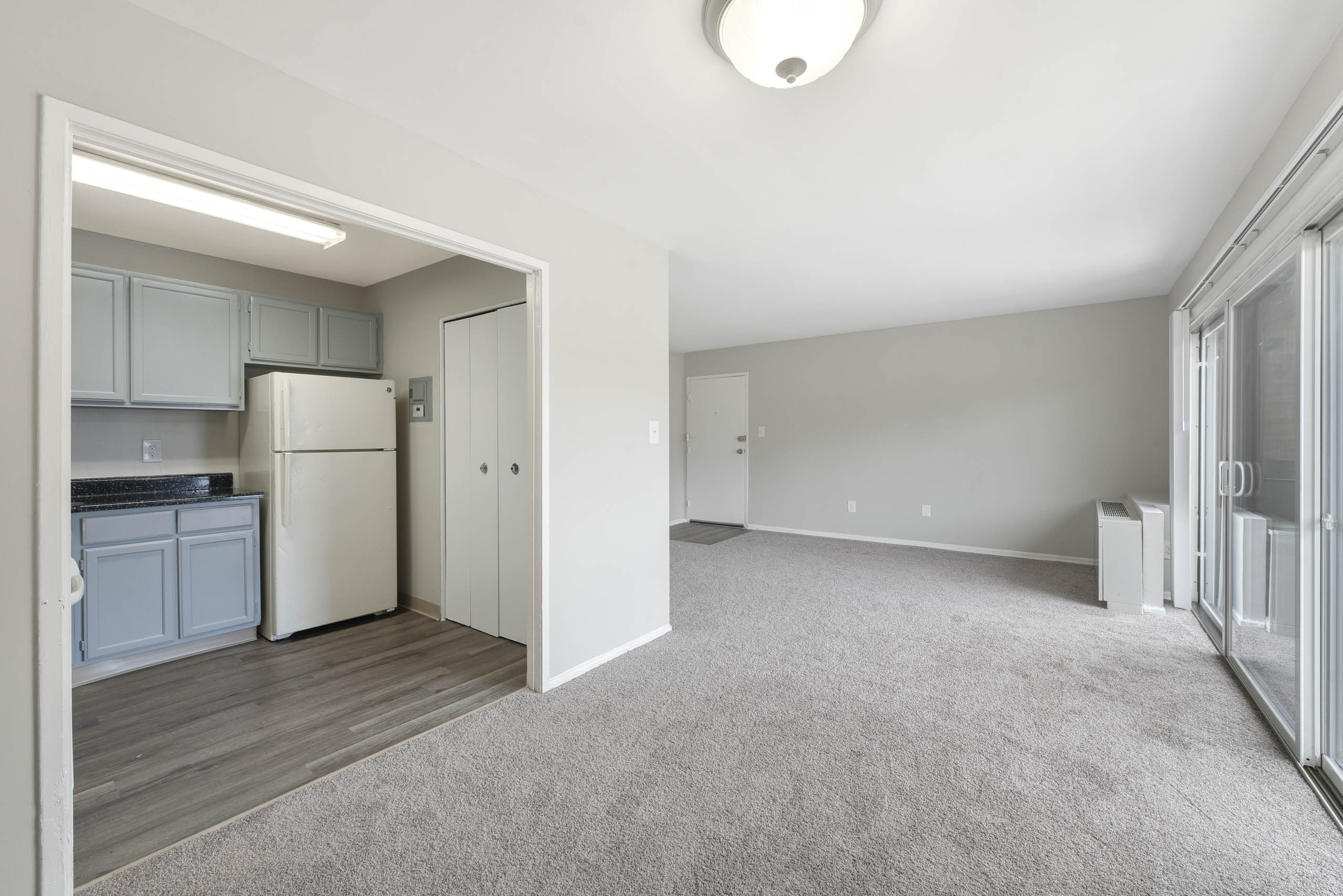 Living And Kitchen View