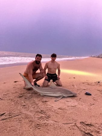 Images NSB Shark Hunters